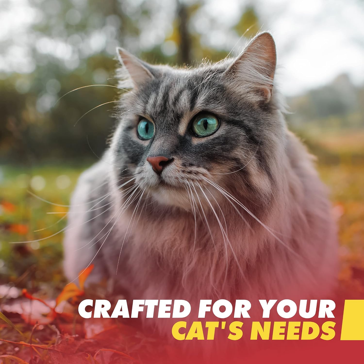 Gato gris de pelo largo con ojos verdes en un entorno natural, promocionando el kit de emergencia GERF SAFETY