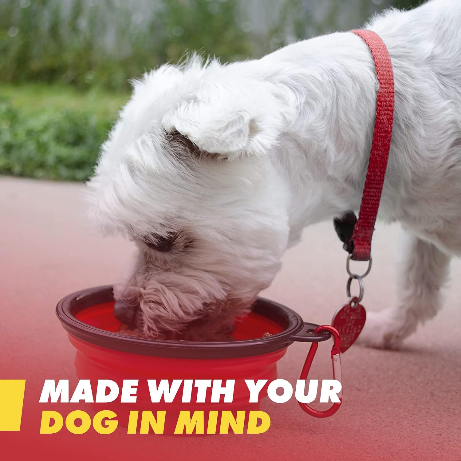 Perro pequeño blanco bebiendo de un cuenco plegable rojo del kit de emergencia GERF SAFETY en un entorno exterior.