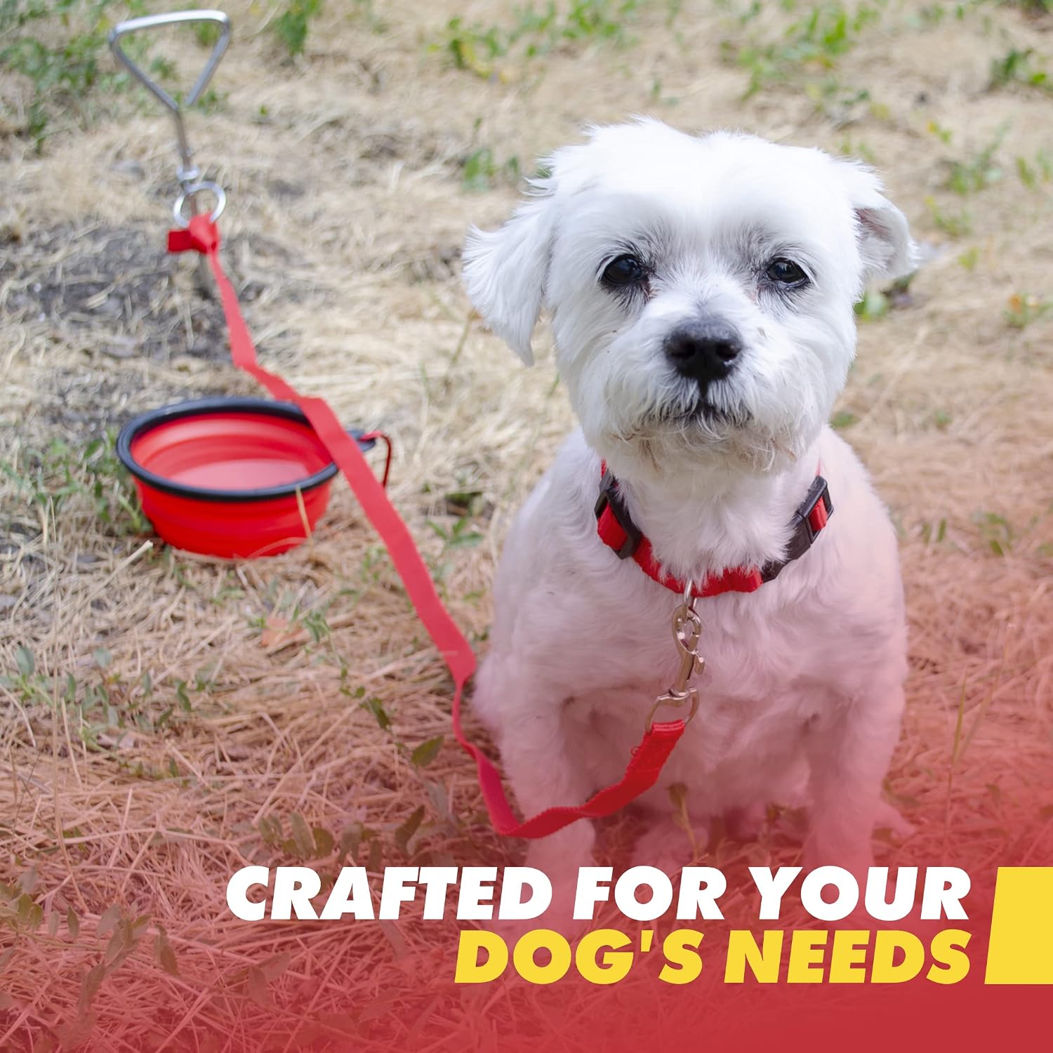 Perro pequeño blanco con correa y cuenco rojo de GERF SAFETY en un entorno exterior para emergencias.